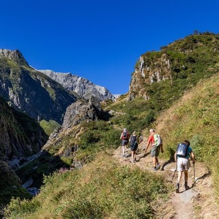 Lettura e natura, passeggiate per famiglie dall'Ossola al Cusio e Verbano