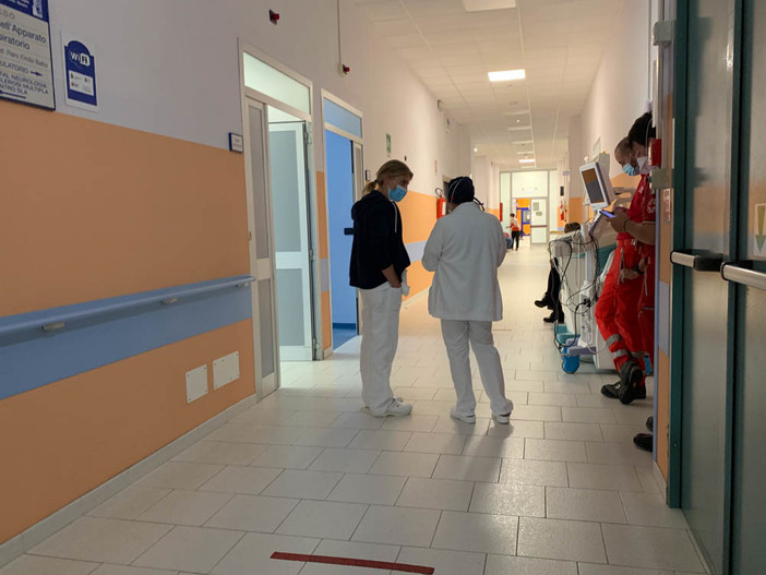 Maxi concorso per infermieri rallentato dal ricorso al Tar, l'Ordine: &quot;Preoccupati per la tenuta del Sistema sanitario&quot;