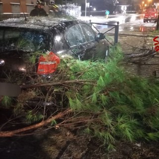 Maltempo, 50 interventi dei Vigili del fuoco in tutto il territorio provinciale