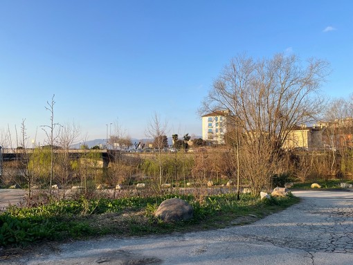 Riqualificare l’area verde sotto il ponte della Canottieri di Intra