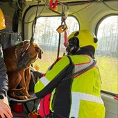 Donna bloccata al Mottarone con il suo cane, soccorsa dai vigili del fuoco