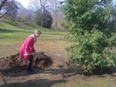 Villa Taranto dedica una quercia alle vittime del Covid FOTO