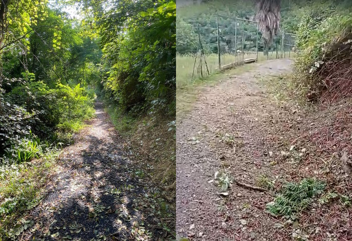 Sfalcio del verde pubblico, il quartiere Verbania est chiede l'intervento dell'amministrazione