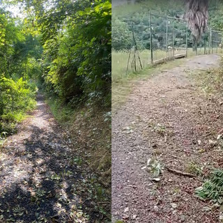 Sfalcio del verde pubblico, il quartiere Verbania est chiede l'intervento dell'amministrazione