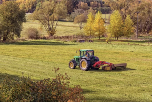 La Regione apre bando da 1,5 milioni per aiutare le aziende agricole a investire nell'innovazione