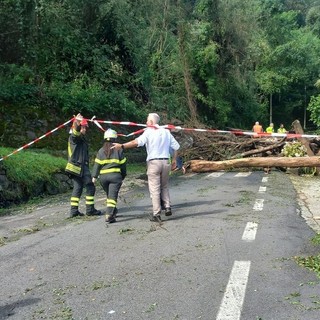 Riaperta a senso unico alternato la statale della Valle Cannobina