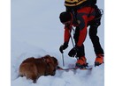 Valanga in alta Valle Formazza, potrebbero esserci degli alpinisti coinvolti