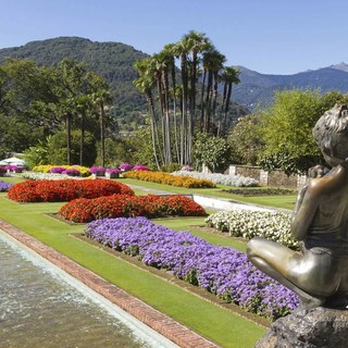 I Giardini Botanici di Villa Taranto riaprono venerdì 15 marzo