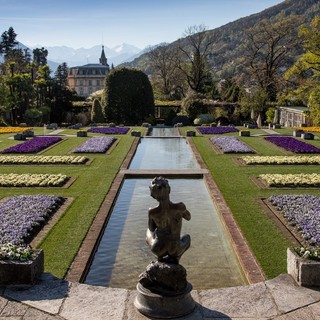 Villa Taranto, iniziano le fioriture