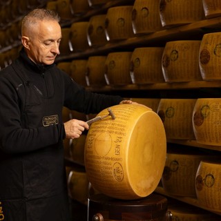 Parmigiano Reggiano, battitura al via per controllare la qualità